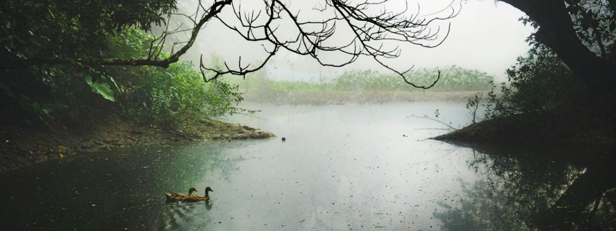 A autocompaixão na prática diária: a coragem de ser gentil